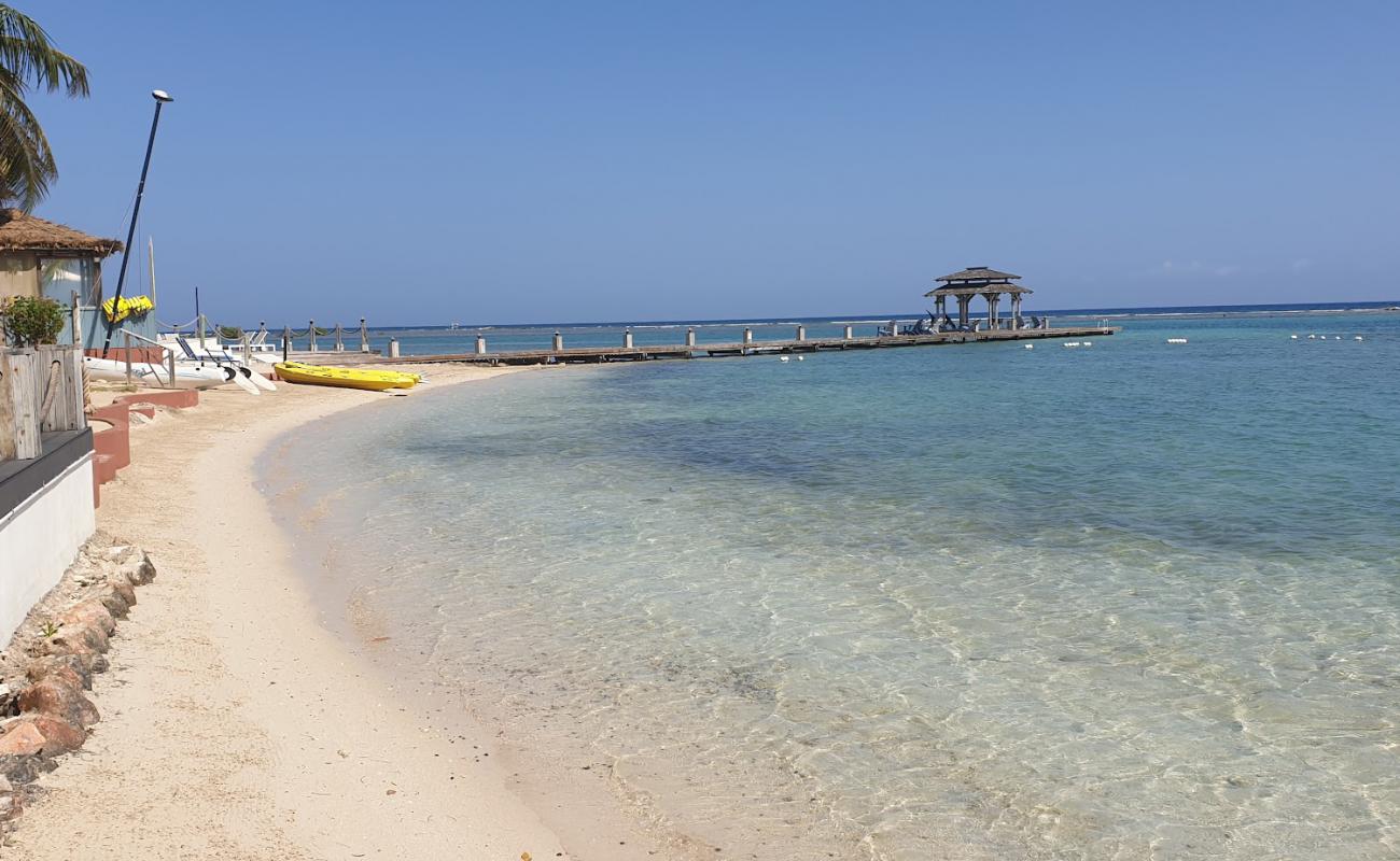 Zoetry Montego Bay'in fotoğrafı i̇nce bej kum yüzey ile