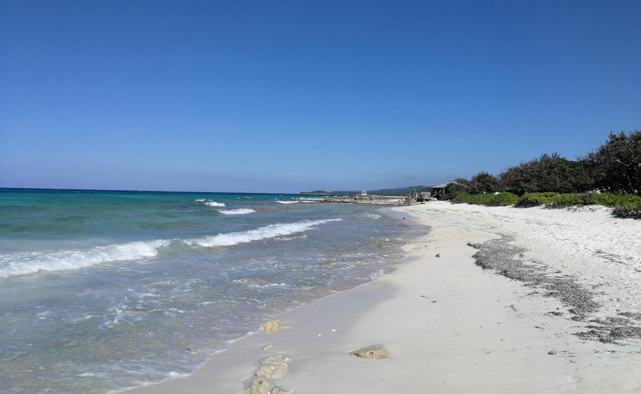 Silver Sands beach'in fotoğrafı açık bej kum yüzey ile
