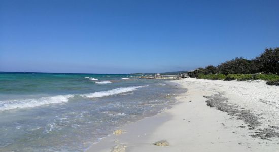 Silver Sands beach