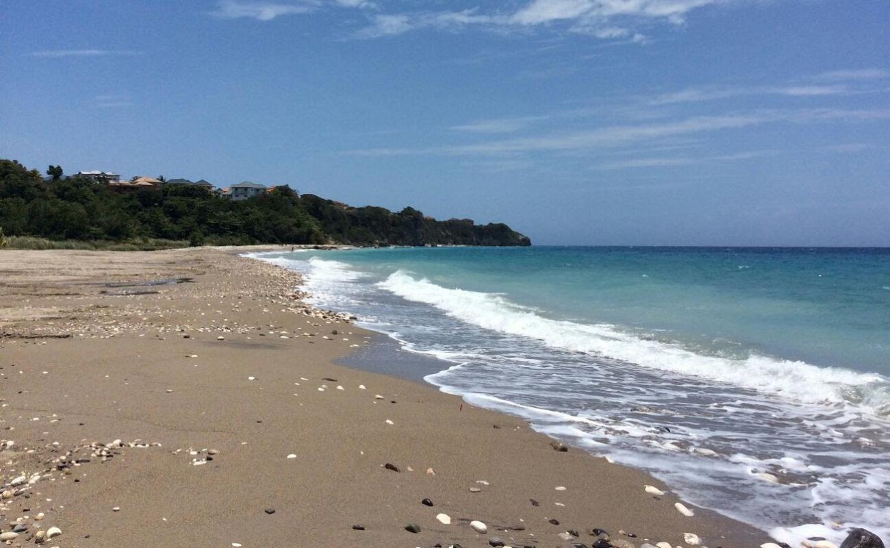 Rio Nuevo Bay'in fotoğrafı açık bej kum yüzey ile
