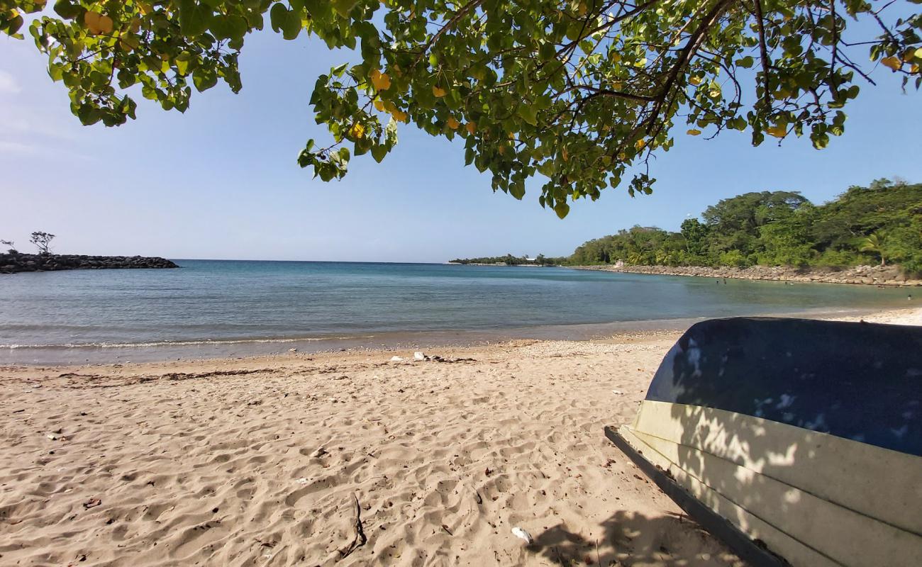 Frenchman beach'in fotoğrafı bej kum ve çakıl yüzey ile