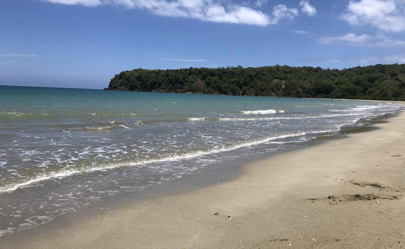 Pagee beach'in fotoğrafı i̇nce bej kum yüzey ile