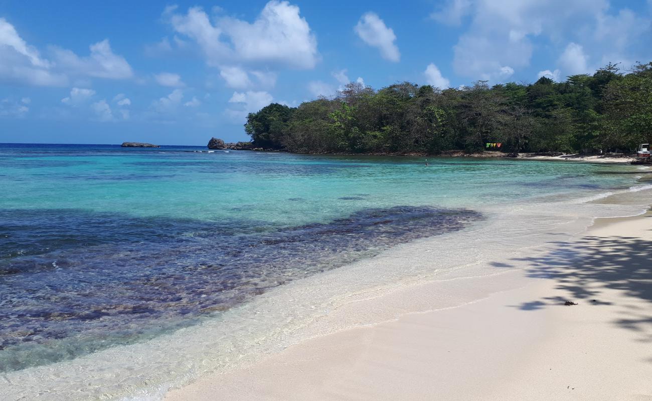Winnifred beach'in fotoğrafı i̇nce bej kum yüzey ile