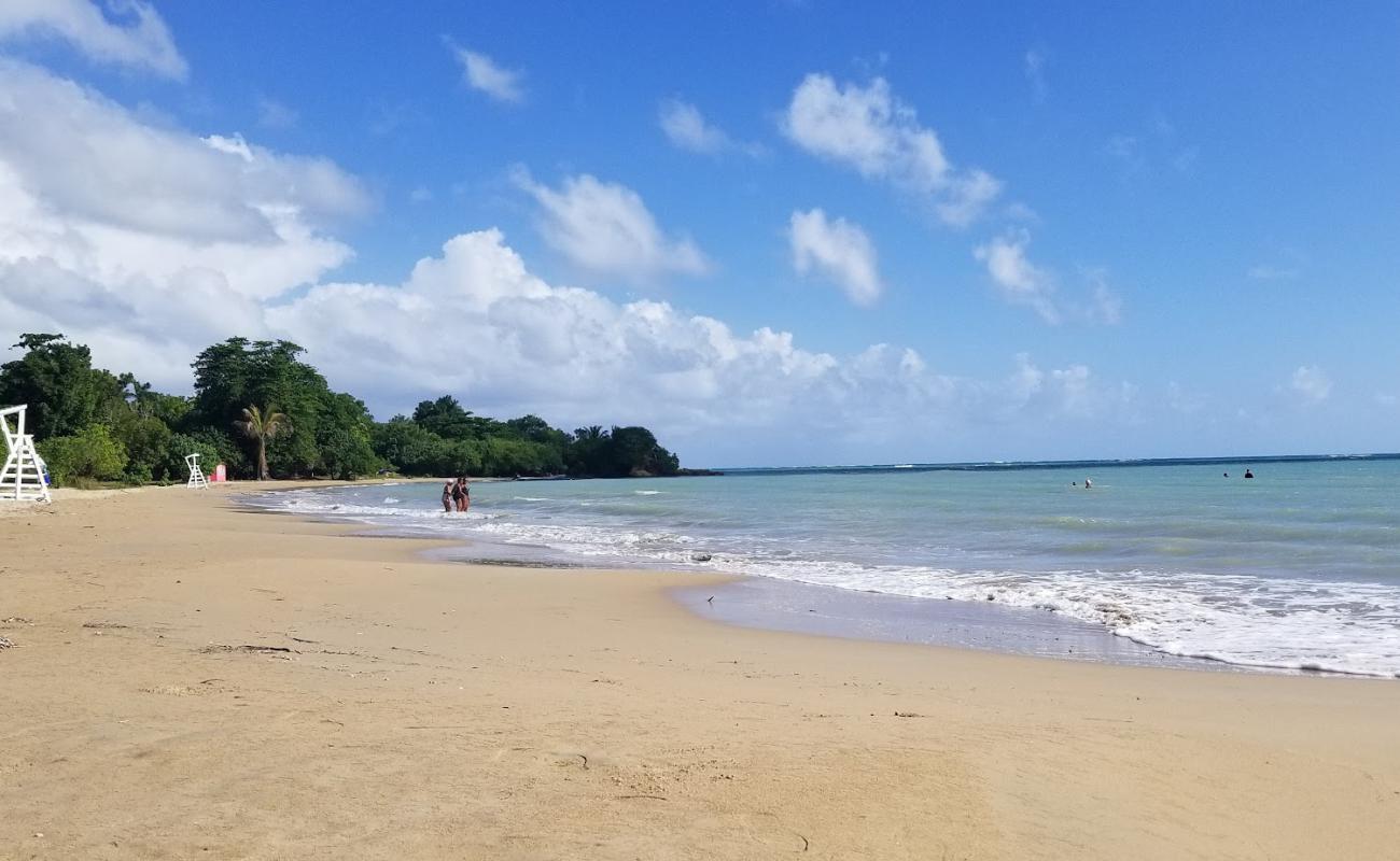 Lyssons beach'in fotoğrafı açık bej kum yüzey ile