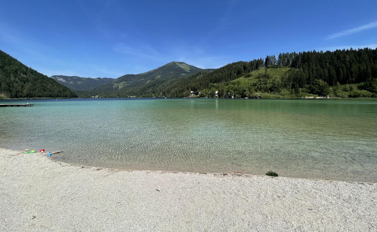Badestrand Erlaufsee'in fotoğrafı gri çakıl taşı yüzey ile