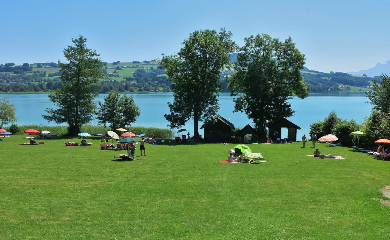 Badeplatz Bliem'in fotoğrafı çim yüzey ile