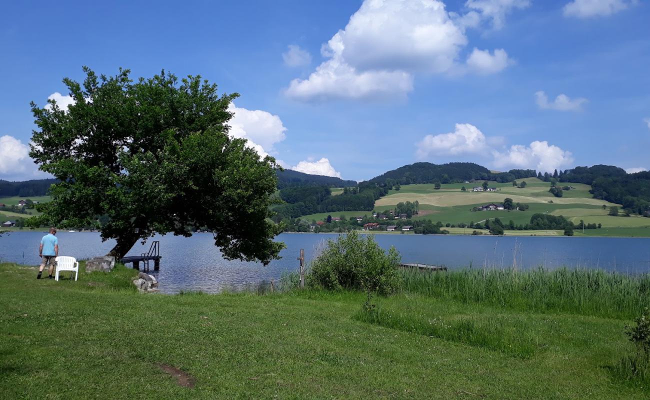 Campingplatz Fischhof'in fotoğrafı çim yüzey ile