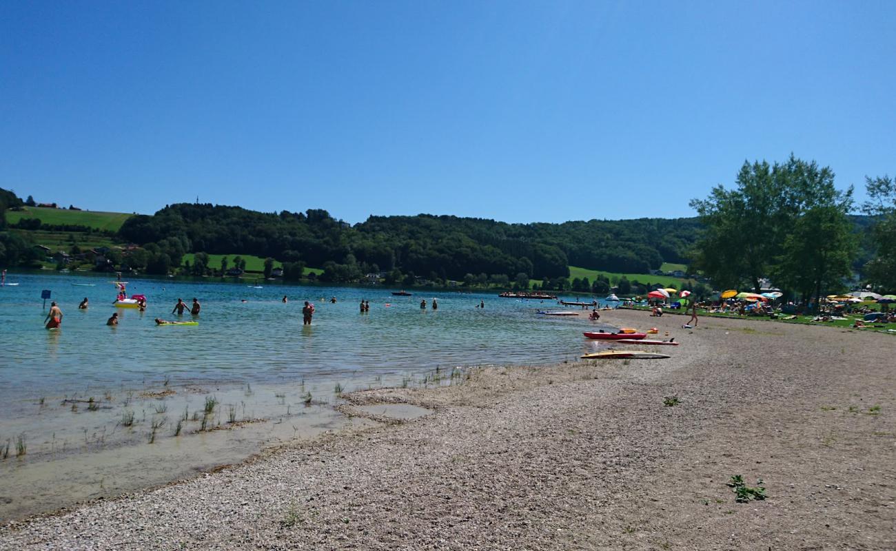 Strandbad Mattsee'in fotoğrafı çim yüzey ile