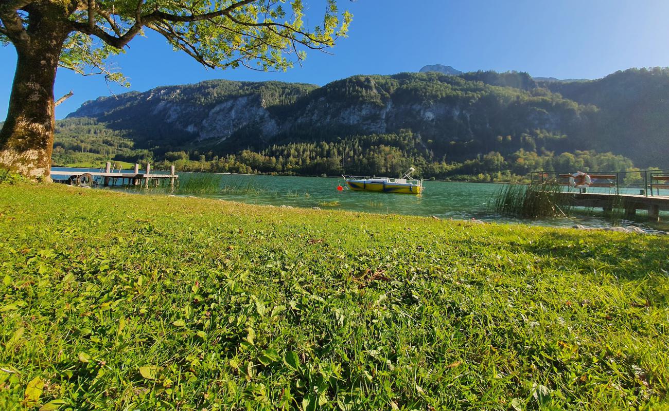 Strandbad Mondsee'in fotoğrafı çim yüzey ile