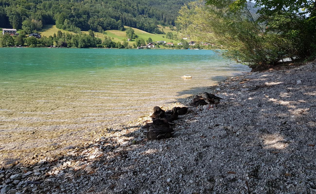 Freier Seezugang Oberburgau'in fotoğrafı bej çakıl yüzey ile