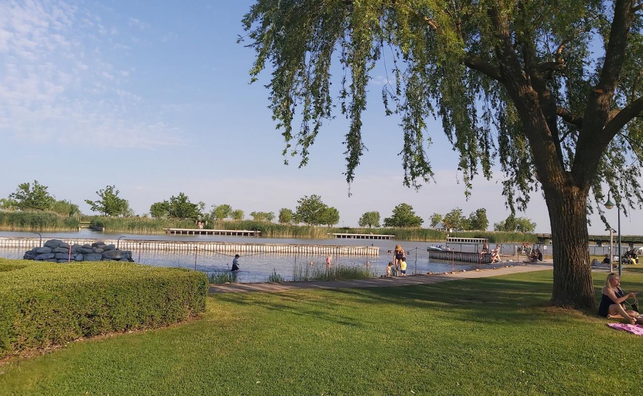 Naturbad Morbisch'in fotoğrafı beton kaplı yüzey yüzey ile