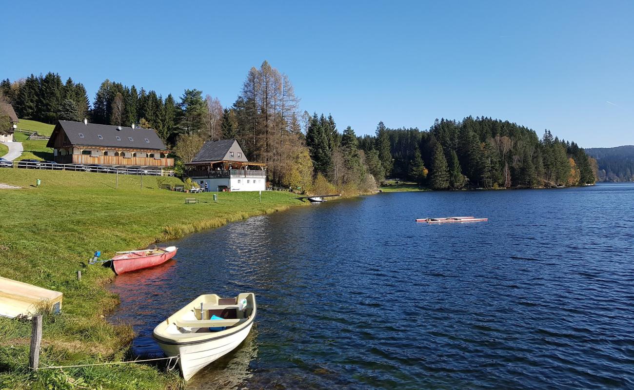 Seebad Packer Stausee'in fotoğrafı çim yüzey ile