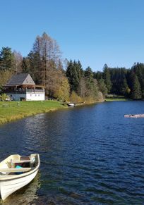Steiermark Eyaleti