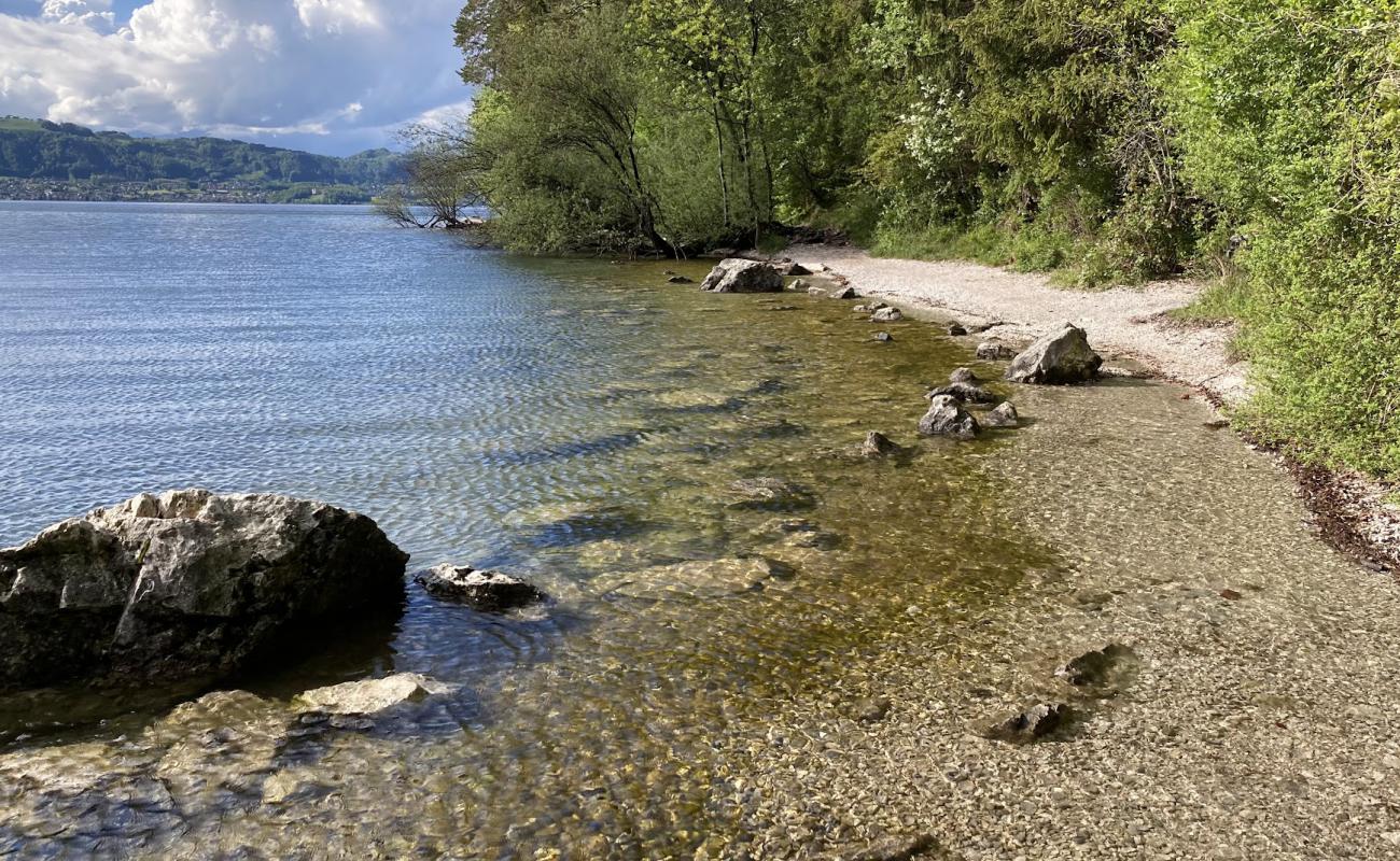 Strand Miesweg'in fotoğrafı gri ince çakıl taş yüzey ile