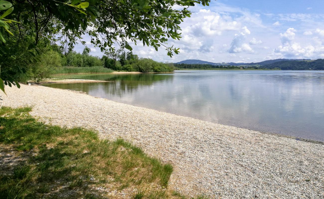 Naturstrandbad Zell am Wallersee'in fotoğrafı çim yüzey ile