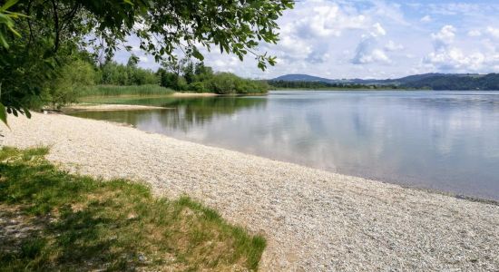 Naturstrandbad Zell am Wallersee