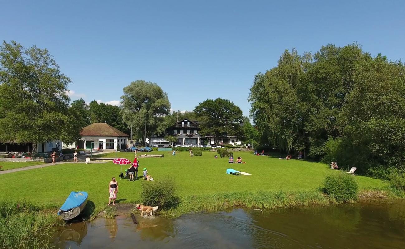 Strandbad Winkler'in fotoğrafı çim yüzey ile