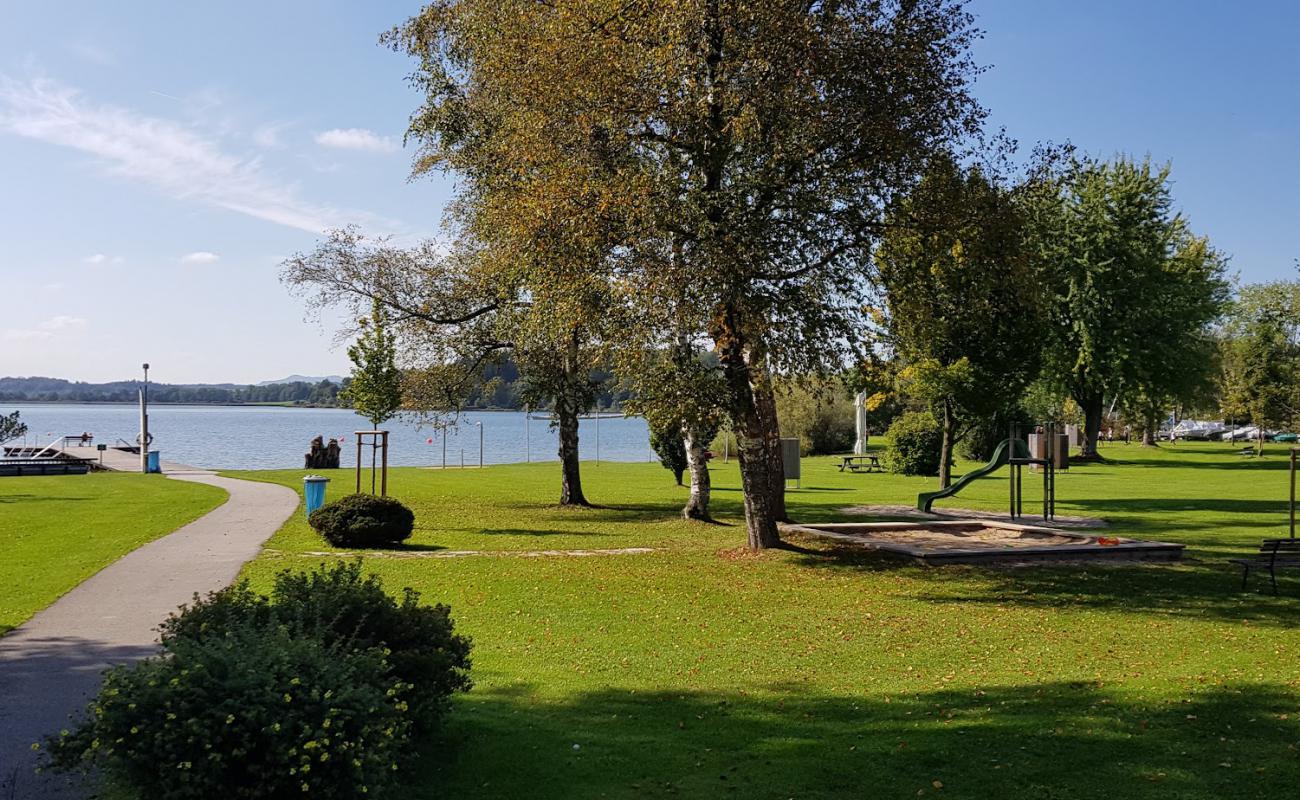 Wallersee Strand'in fotoğrafı çim yüzey ile