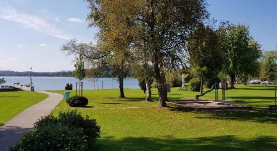 Wallersee Strand