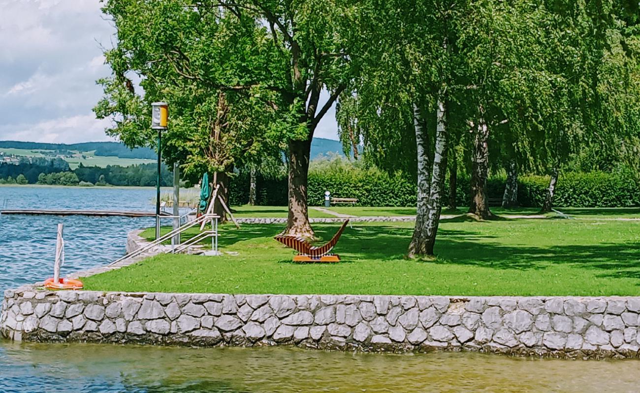 Strandbad Henndorf'in fotoğrafı çim yüzey ile