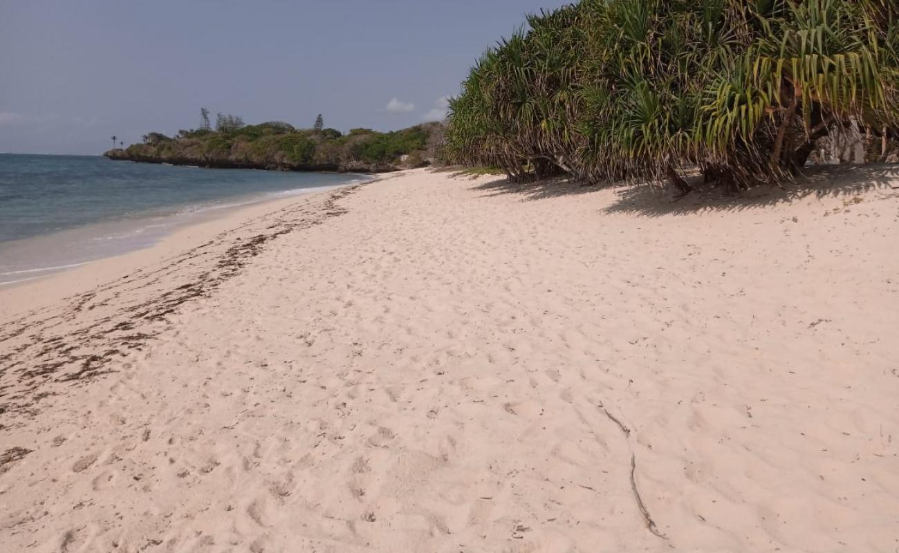 Kuruwitu Beach'in fotoğrafı i̇nce bej kum yüzey ile
