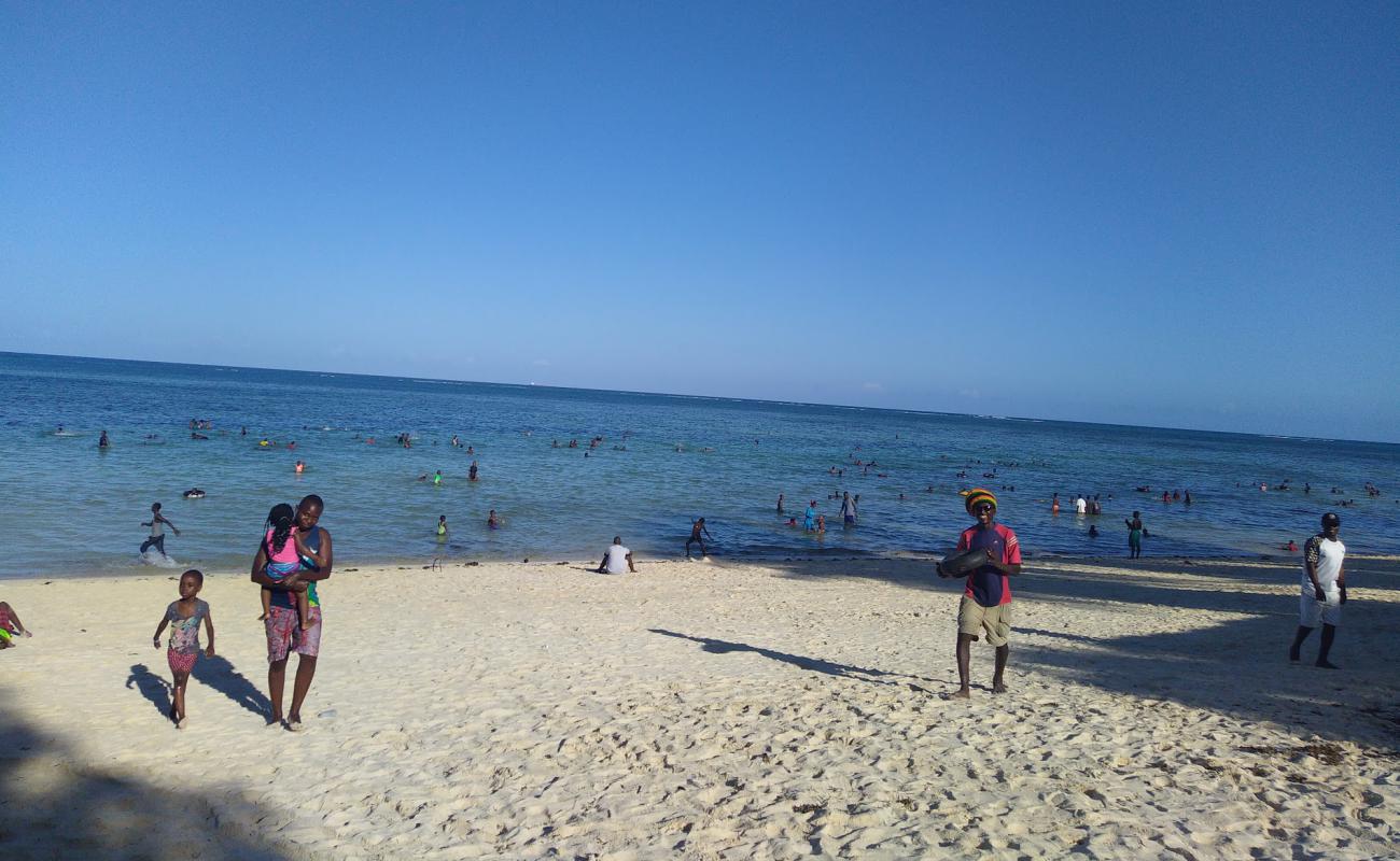 Shelly Beach'in fotoğrafı i̇nce gri kum yüzey ile