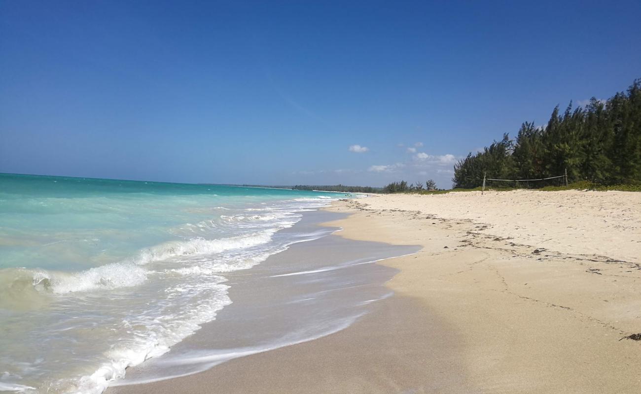 Maweni Beach'in fotoğrafı açık bej kum yüzey ile