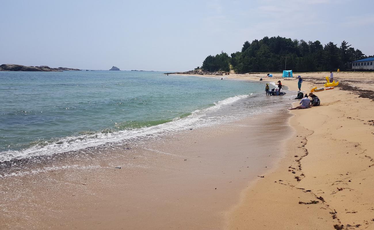 Bongsudae Beach'in fotoğrafı açık bej kum yüzey ile