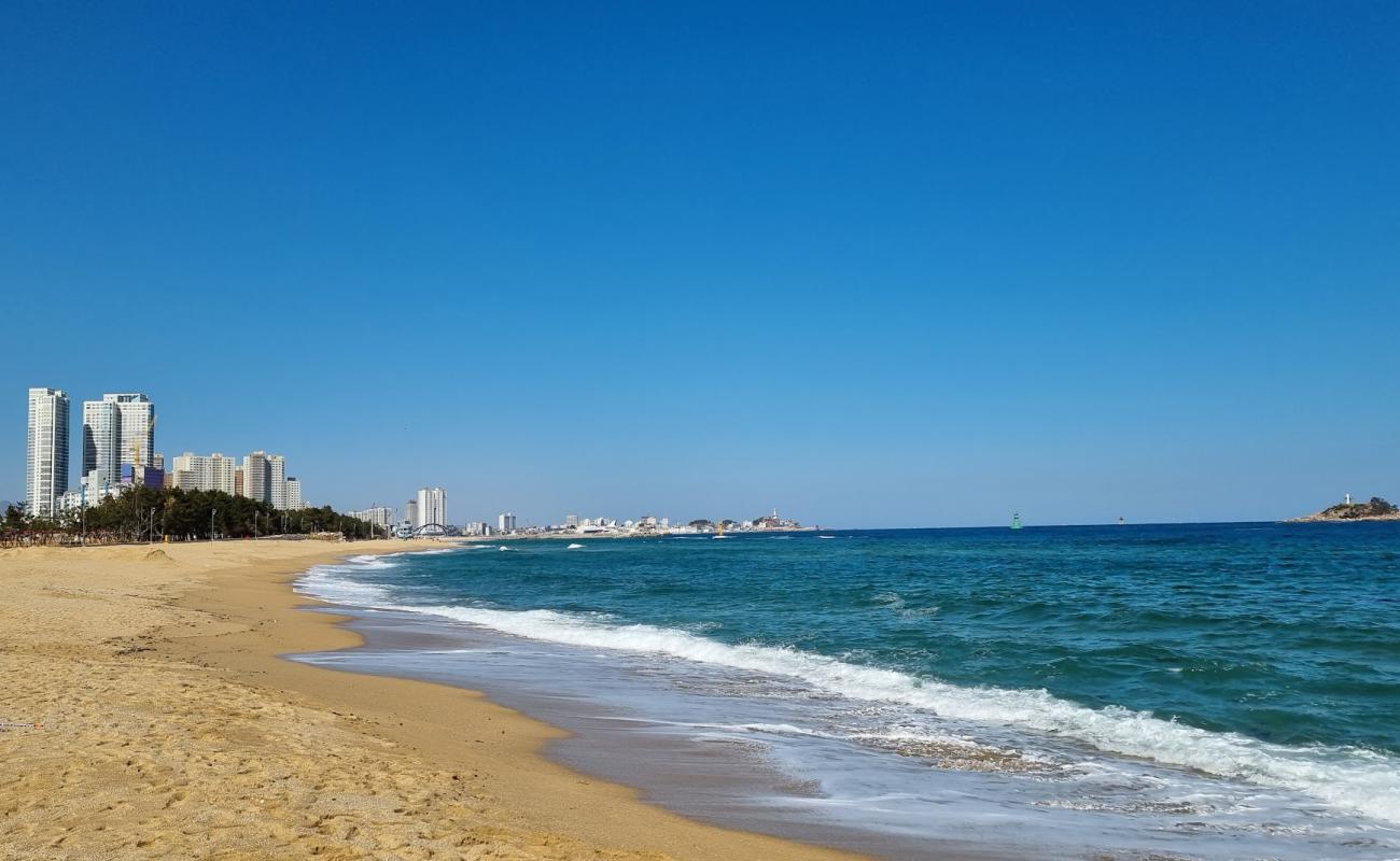 Sokcho Beach'in fotoğrafı açık bej kum yüzey ile