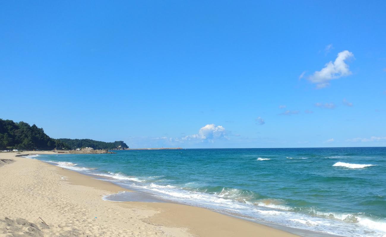 Dongho Beach'in fotoğrafı parlak kum yüzey ile