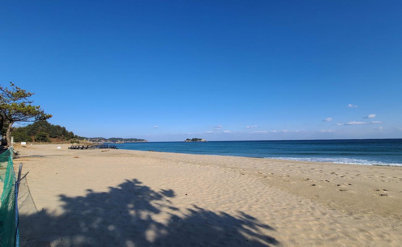 Jangyo Beach'in fotoğrafı açık bej kum yüzey ile