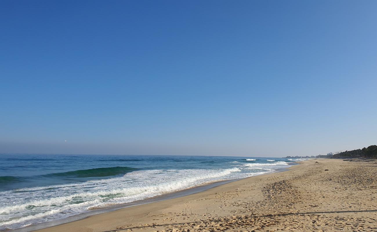 Wonpo Beach'in fotoğrafı açık bej kum yüzey ile