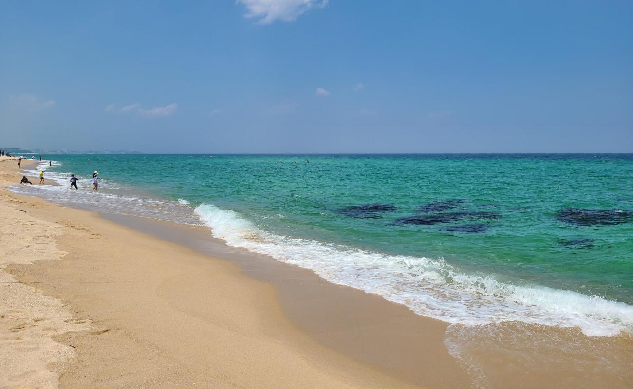 Sacheonjin Beach'in fotoğrafı parlak kum yüzey ile