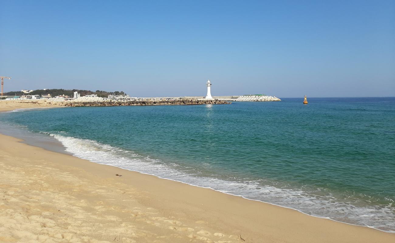 Sacheon Beach'in fotoğrafı parlak kum yüzey ile