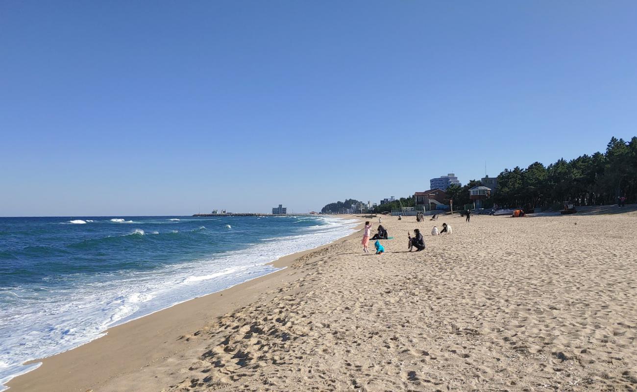 Songjeong Beach'in fotoğrafı parlak kum yüzey ile