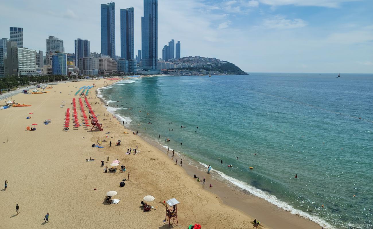 Haeundae Plajı'in fotoğrafı parlak ince kum yüzey ile