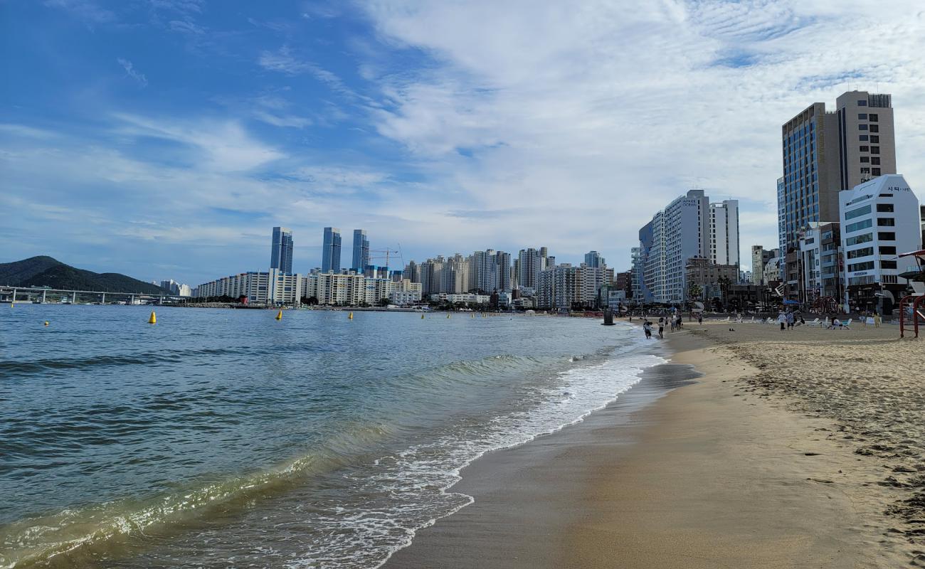 Gwangalli Plajı'in fotoğrafı parlak ince kum yüzey ile