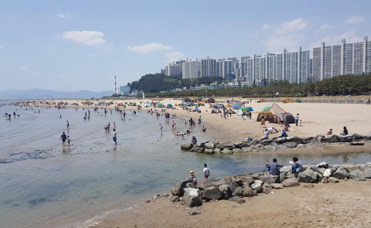 Dadaepo Beach'in fotoğrafı açık bej kum yüzey ile