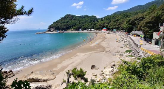 Gasa Camellia Forest Beach