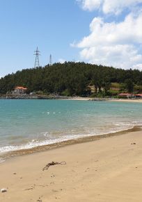 Cheongsan Adası