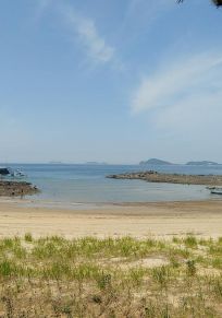 Güney Chungcheong İli