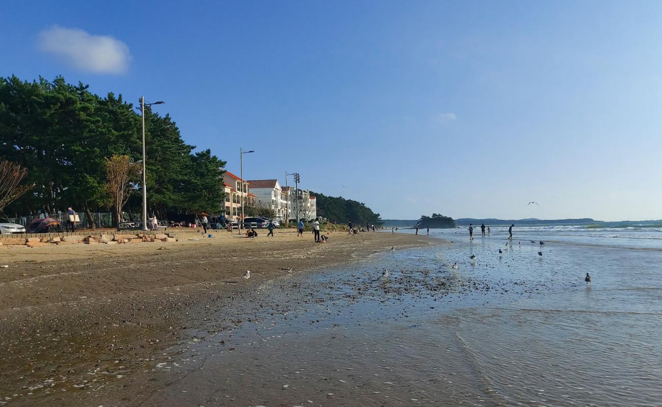 Dalsanpo Beach'in fotoğrafı parlak kum yüzey ile