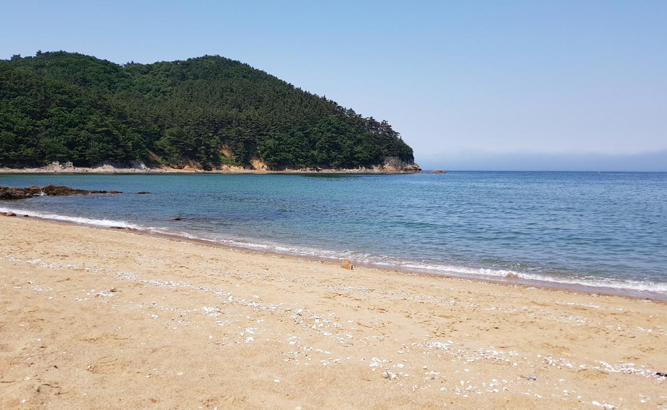 Paengnipo Beach'in fotoğrafı açık bej kum yüzey ile