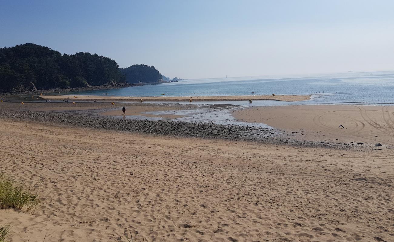 Uihang Beach'in fotoğrafı parlak kum yüzey ile