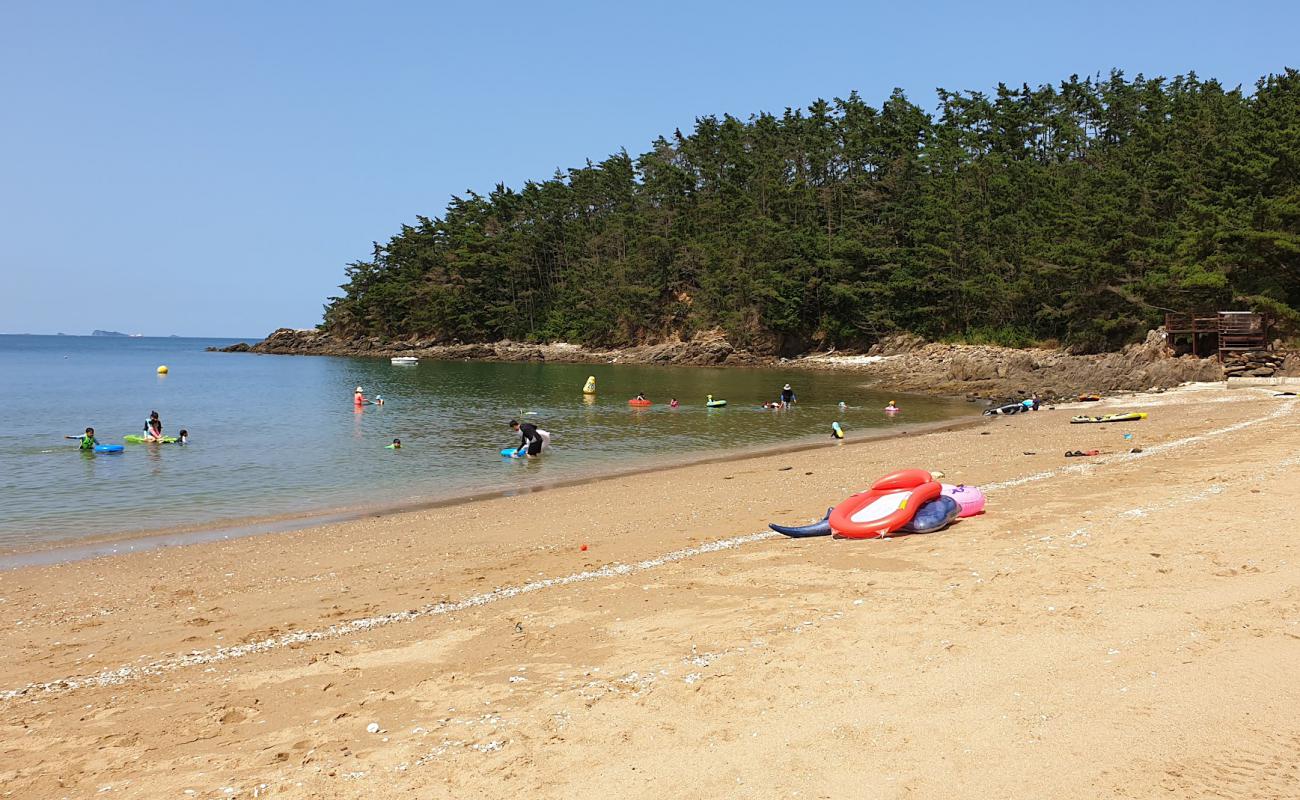 Kujinamugol Beach'in fotoğrafı parlak kum yüzey ile