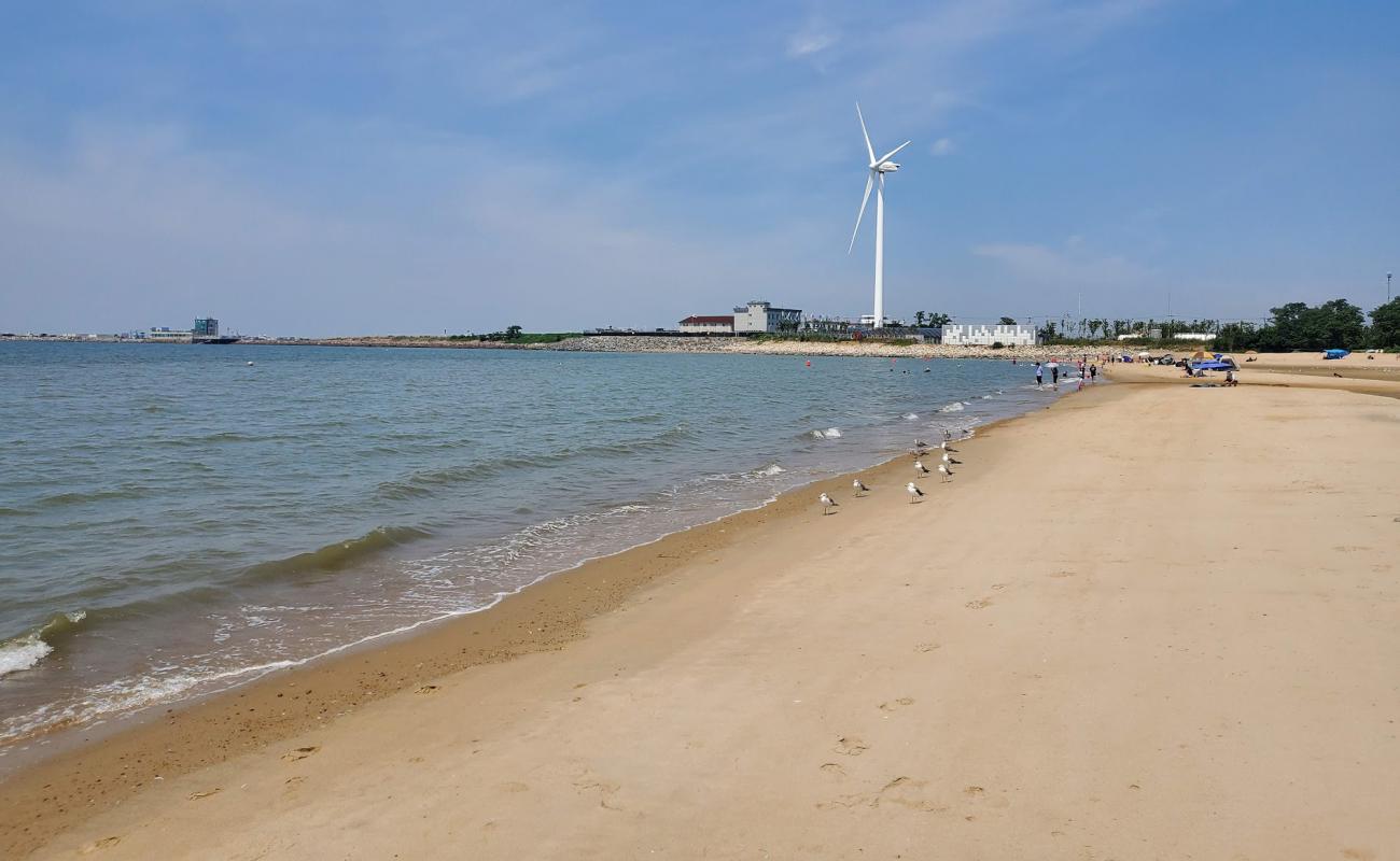 Daebuduk Beach'in fotoğrafı parlak kum yüzey ile