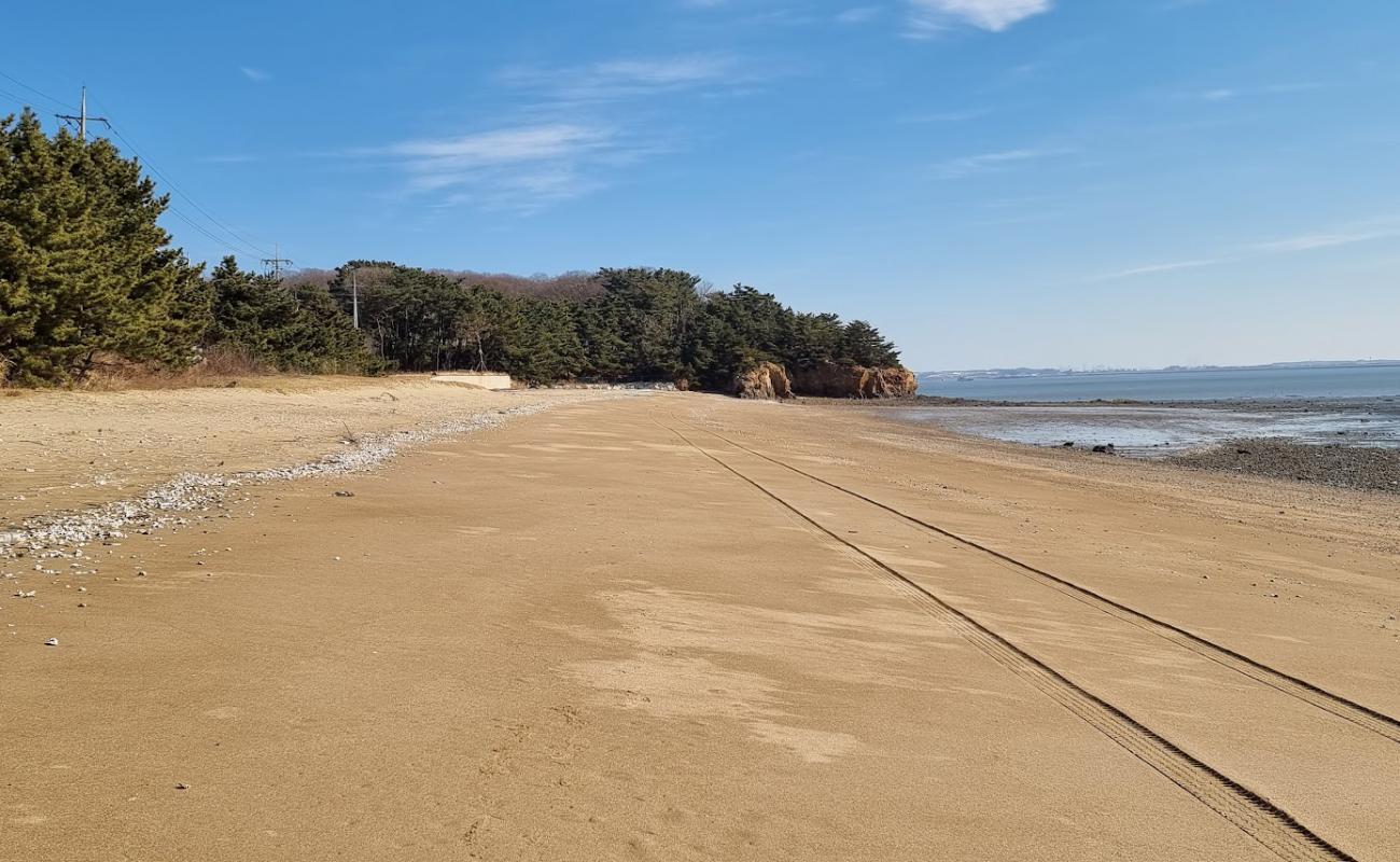 Ongam Beach'in fotoğrafı parlak kum yüzey ile