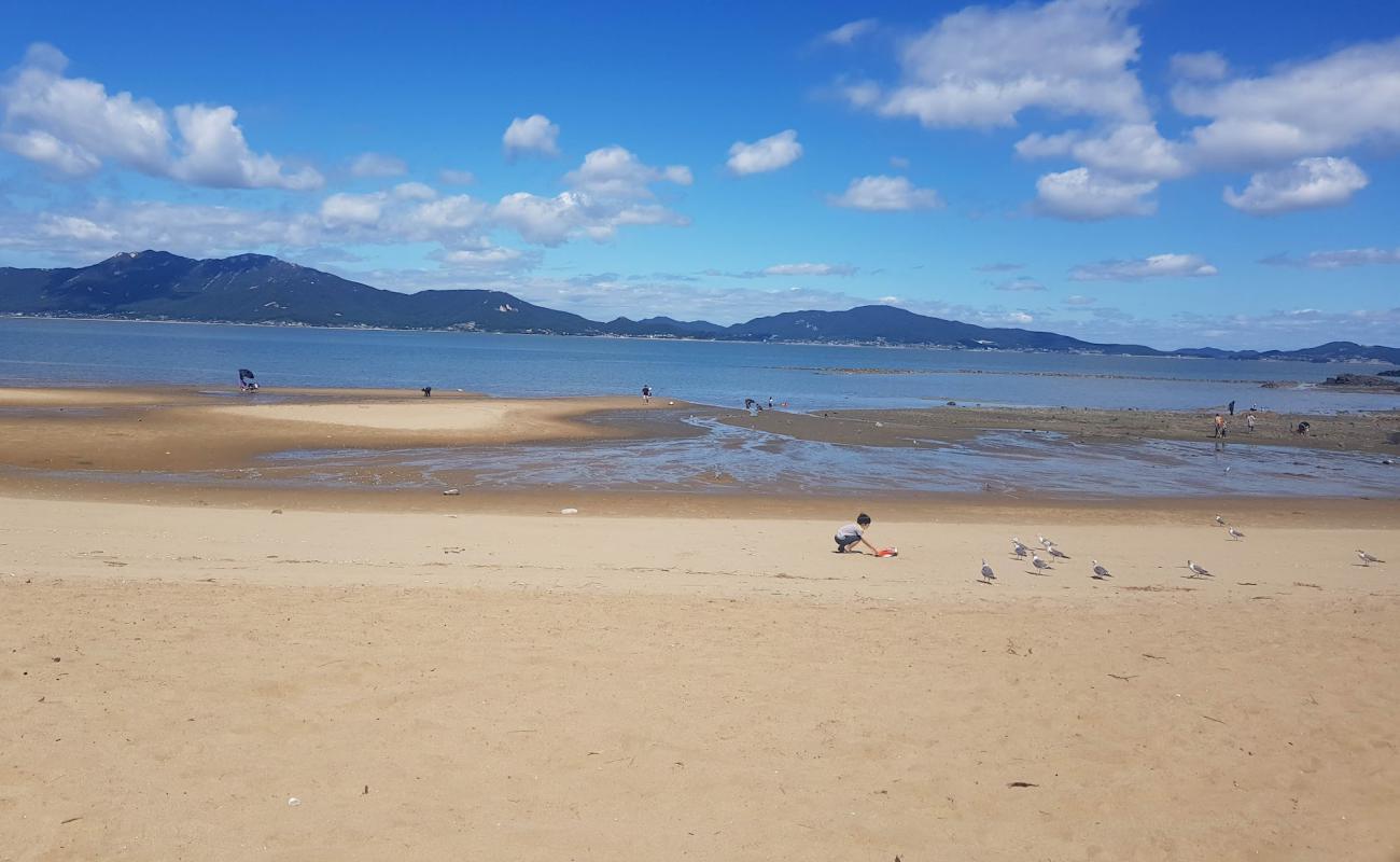 Sugi Beach'in fotoğrafı parlak kum yüzey ile