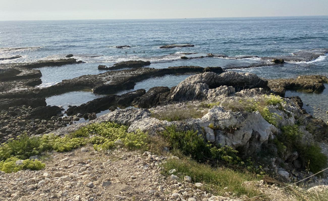 Safra beach'in fotoğrafı hafif çakıl yüzey ile