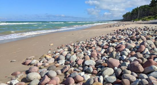 Vejciems beach